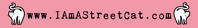 iamastreetcat.com